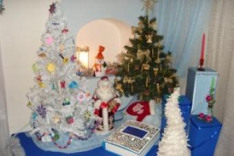 Scenario of the New Year’s trip “School of Magic of Santa Claus Scenario of the opening of the residence of Santa Claus