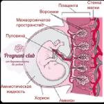 Heterogeneous placenta - is it dangerous?