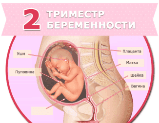 Prevention of influenza in pregnant women