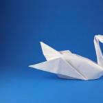 Making a swan out of paper using the origami technique