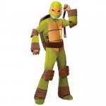 Ninja turtle carnival costume