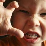 What to do if a child starts biting in kindergarten: advice from an experienced psychologist